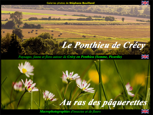Crecy en Ponthieu - Picardie - Somme - Macrophotos et Photos par Stephane Bouilland