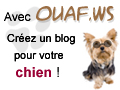 Ouaf.ws un blog pour votre chien star !