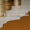 Bor.Investments
