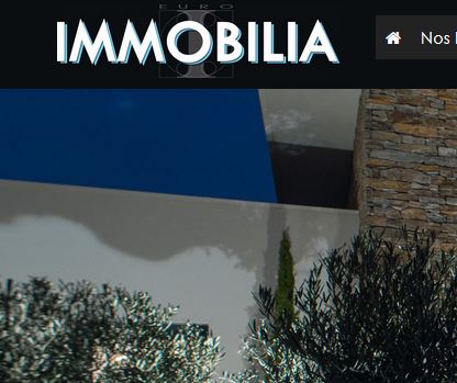 www.euro-immobilia.fr