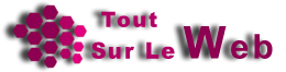 Tout Sur Le Web Logo